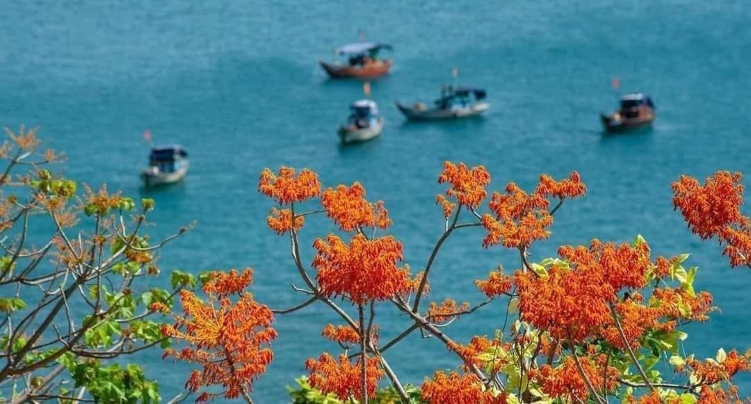 Cham Island Wooden Cabin ホイアン エクステリア 写真